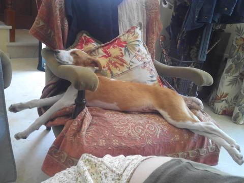 files/behle/bilder/33 - Kopie.jpg